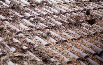 Rhonehouse Or Kelton Hill roof cleaning companies